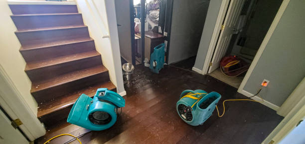 Best Commercial water damage restoration  in Meggett, SC