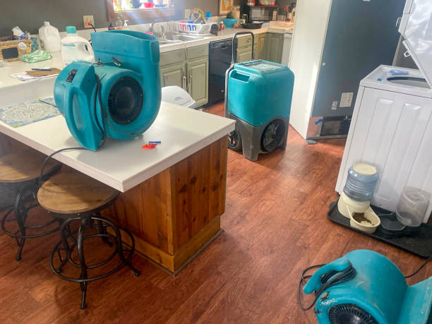 Best Ceiling water damage repair  in Meggett, SC