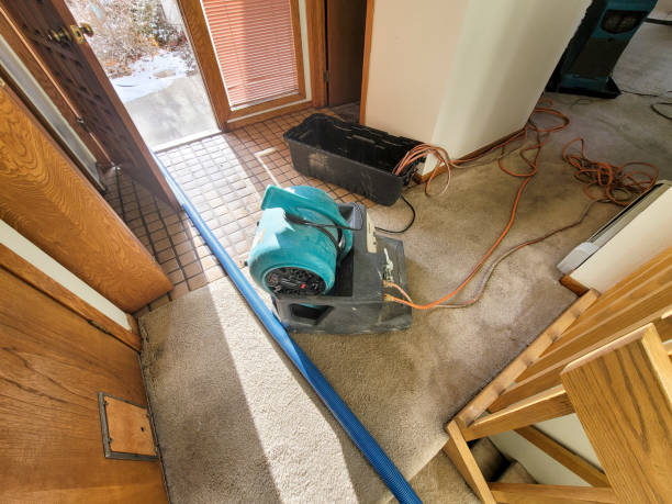 Reliable SC Water damage restoration Solutions