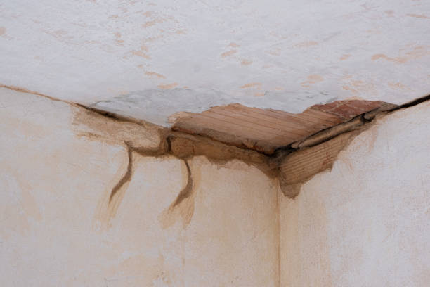 24/7 water damage repair in SC