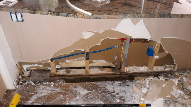 Best Water damage restoration company  in Meggett, SC