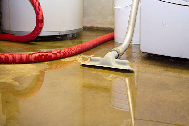 Best Local water damage restoration  in Meggett, SC