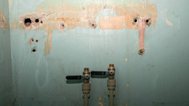 Best Sewage cleanup and water damage restoration  in Meggett, SC