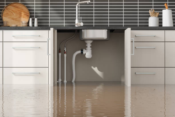 Best Emergency water damage restoration  in Meggett, SC