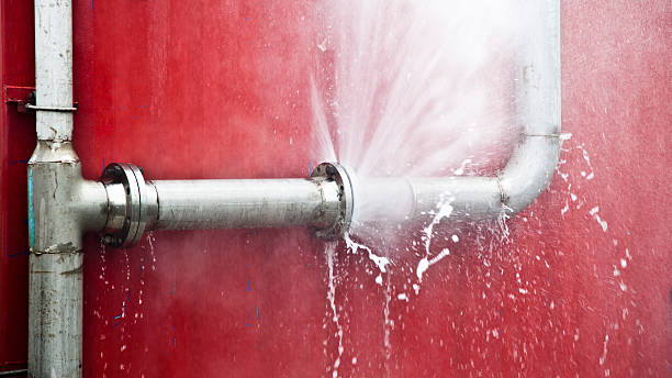 Best Water damage repair service  in Meggett, SC
