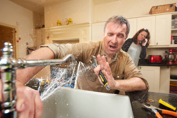 Best 24-hour water damage restoration  in Meggett, SC